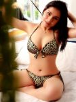 Jeeda companion, Outcall Only, £