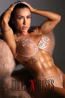 Danaya 600 per hour