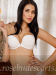 stunning European brunette escort girl in Knightsbridge