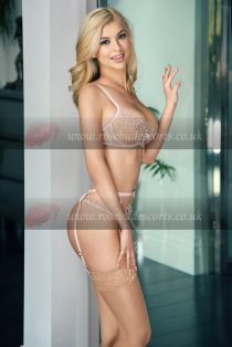 April escort - 36B bust, blonde hair, brown eyes
