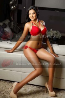 Diamond escort - 36DD bust, black hair, brown eyes