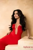 Gabby brunette perfectionist Bi-curious escort in Knightsbridge